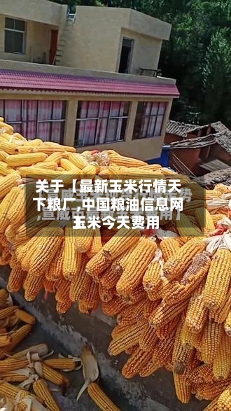 关于【最新玉米行情天下粮厂,中国粮油信息网玉米今天费用】