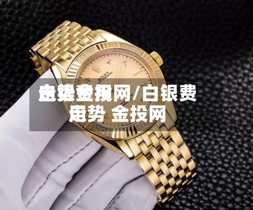 白银费用
走势金投网/白银费用
走势 金投网-第2张图片
