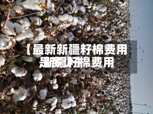 【最新新疆籽棉费用
,新疆籽棉费用
是多少】
