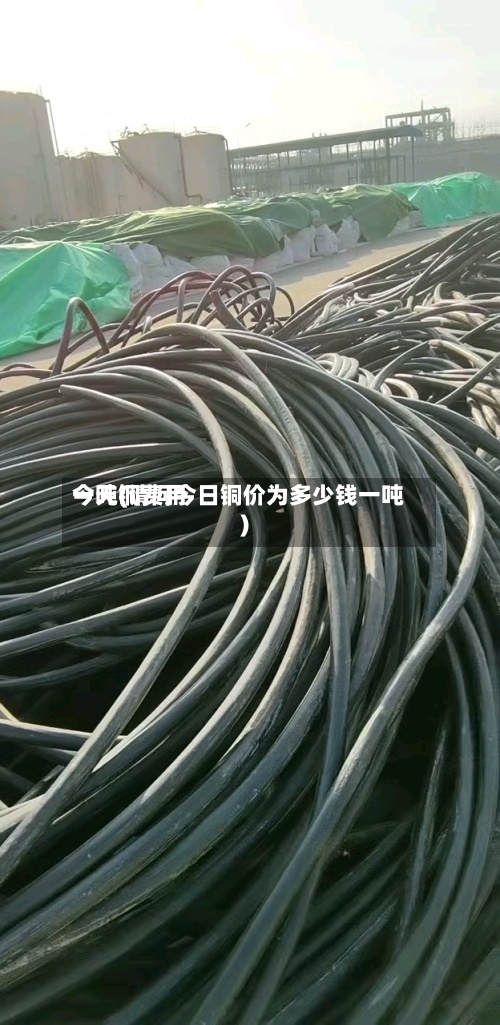 今天铜费用
一吨(请问今日铜价为多少钱一吨)-第3张图片