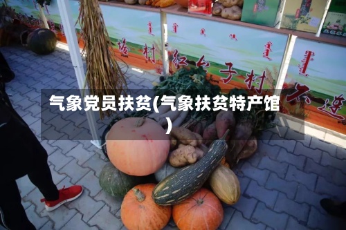 气象党员扶贫(气象扶贫特产馆)-第2张图片