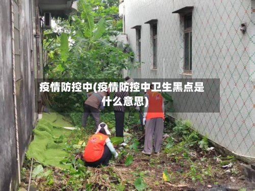 疫情防控中(疫情防控中卫生黑点是什么意思)