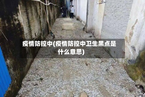 疫情防控中(疫情防控中卫生黑点是什么意思)-第2张图片