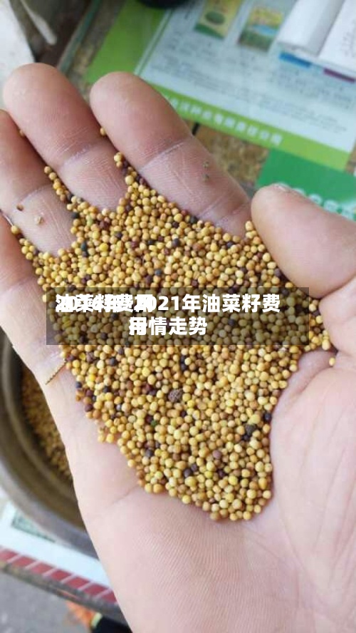 油菜籽费用2016年/2021年油菜籽费用行情走势