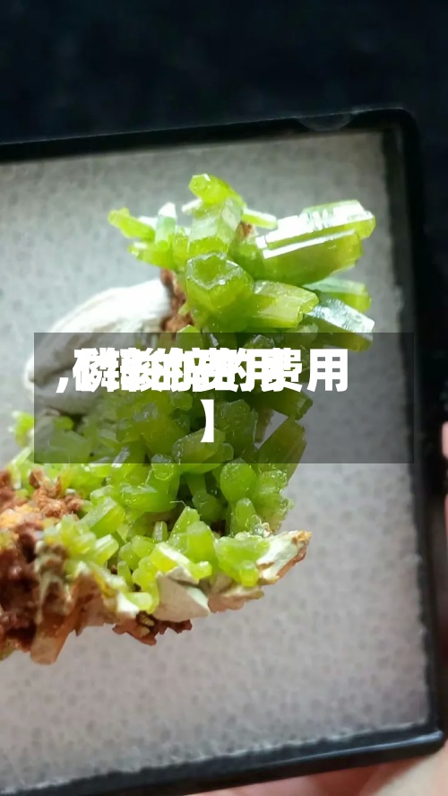 【锌的费用
,磷酸锌的费用
】-第2张图片