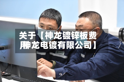 关于【神龙镀锌板费用,神龙电镀有限公司】-第3张图片