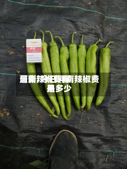 河南辣椒费用
最新/今日河南辣椒费用
是多少-第2张图片