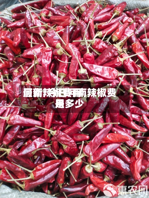 河南辣椒费用
最新/今日河南辣椒费用
是多少-第3张图片