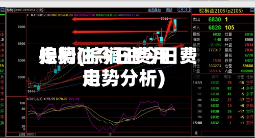 棕榈油今日费用
走势(棕榈油今日费用
走势分析)