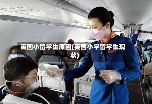 英国小留学生原因(英国小学留学生现状)-第2张图片