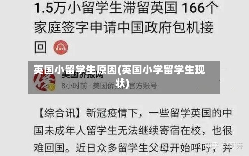 英国小留学生原因(英国小学留学生现状)