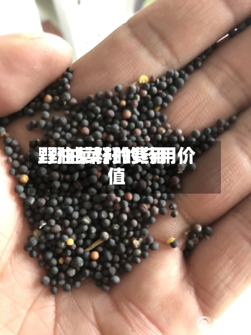 野油菜籽的费用
/野油菜籽的药用价值