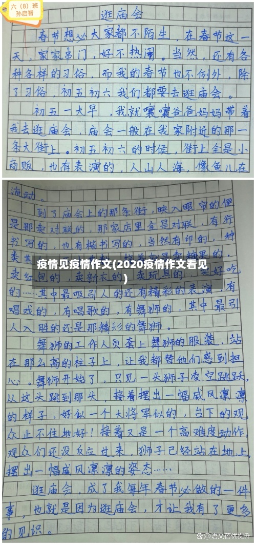 疫情见疫情作文(2020疫情作文看见)