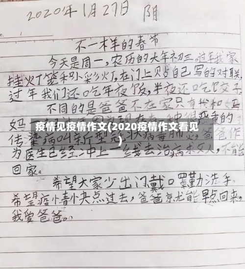 疫情见疫情作文(2020疫情作文看见)-第2张图片
