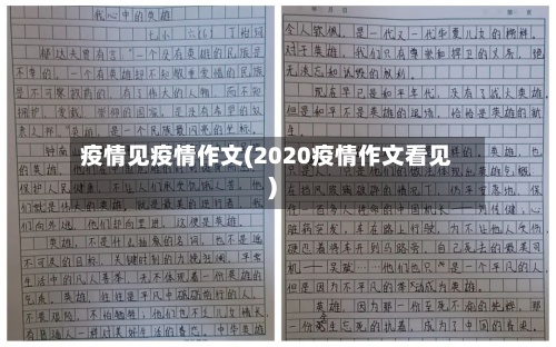 疫情见疫情作文(2020疫情作文看见)-第3张图片