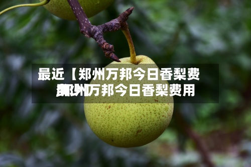最近【郑州万邦今日香梨费用
,郑州万邦今日香梨费用
多少】-第2张图片