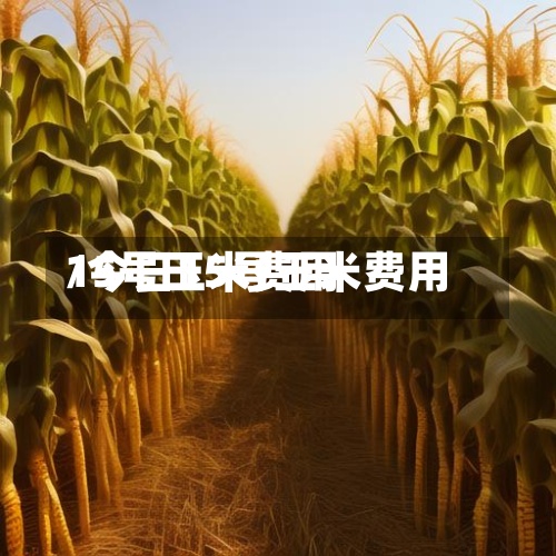 15号玉米费用
/今日15号玉米费用
-第2张图片