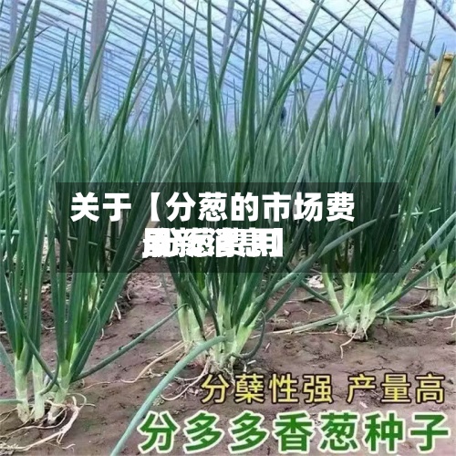 关于【分葱的市场费用
,分葱费用
最新消息】-第3张图片