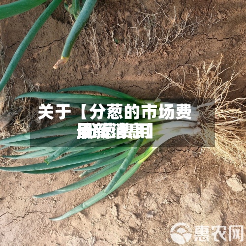 关于【分葱的市场费用,分葱费用最新消息】