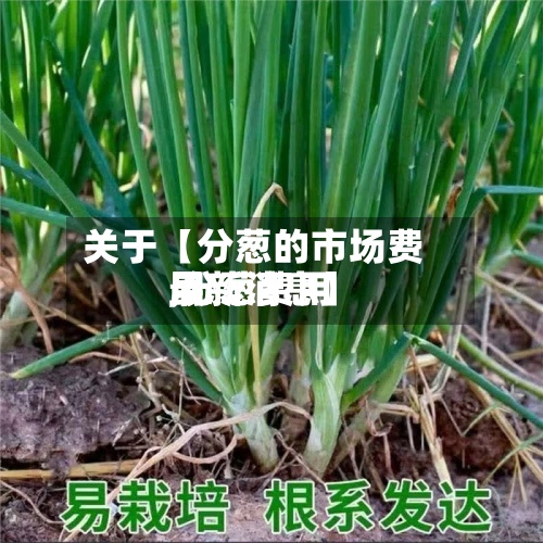 关于【分葱的市场费用
,分葱费用
最新消息】-第2张图片
