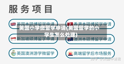 英国小学微留学申请(英国留学的小学生怎么处理)-第2张图片