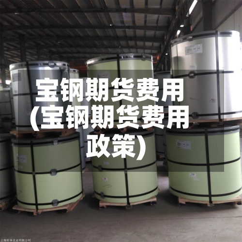 宝钢期货费用(宝钢期货费用政策)