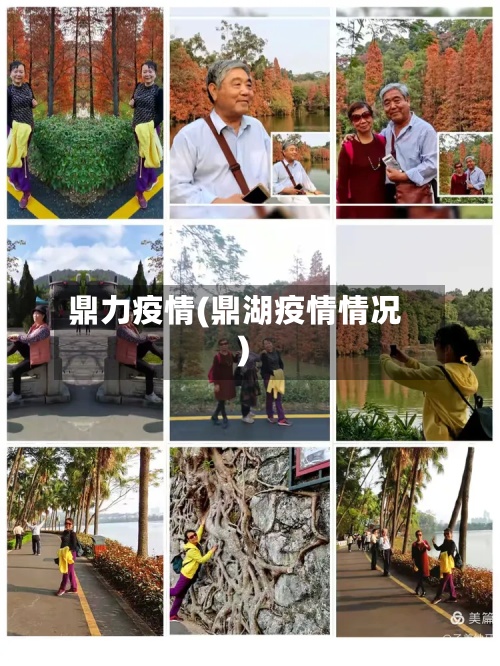 鼎力疫情(鼎湖疫情情况)-第3张图片