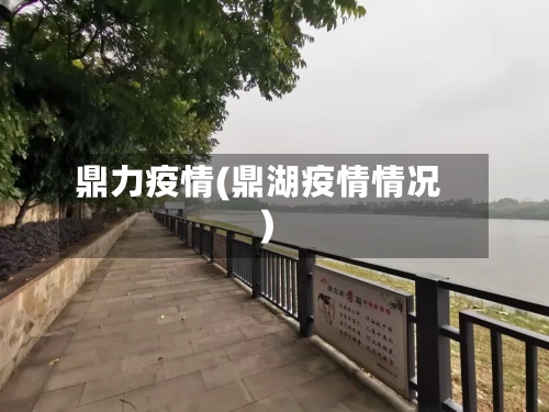 鼎力疫情(鼎湖疫情情况)-第2张图片