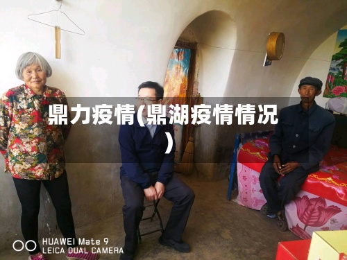 鼎力疫情(鼎湖疫情情况)