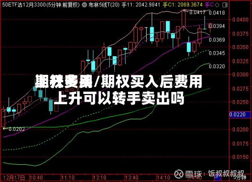 期权费用上升多头/期权买入后费用上升可以转手卖出吗