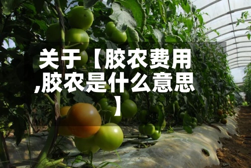 关于【胶农费用,胶农是什么意思】