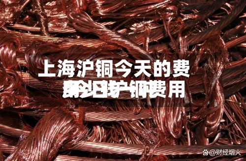 上海沪铜今天的费用/今日沪铜费用多少钱一吨