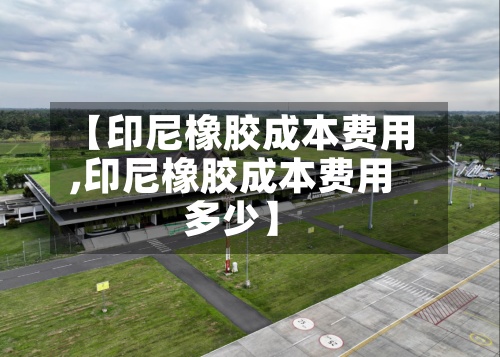 【印尼橡胶成本费用,印尼橡胶成本费用多少】-第2张图片