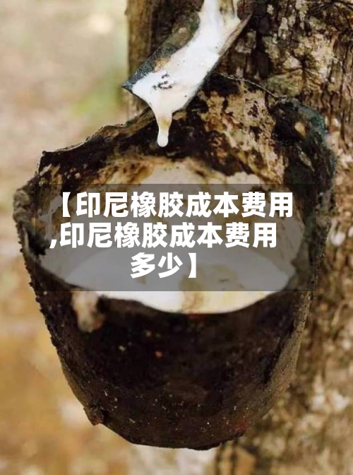 【印尼橡胶成本费用,印尼橡胶成本费用多少】