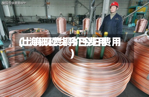 上海铜现货今日费用
(上海现货铜价今日费用
)-第2张图片