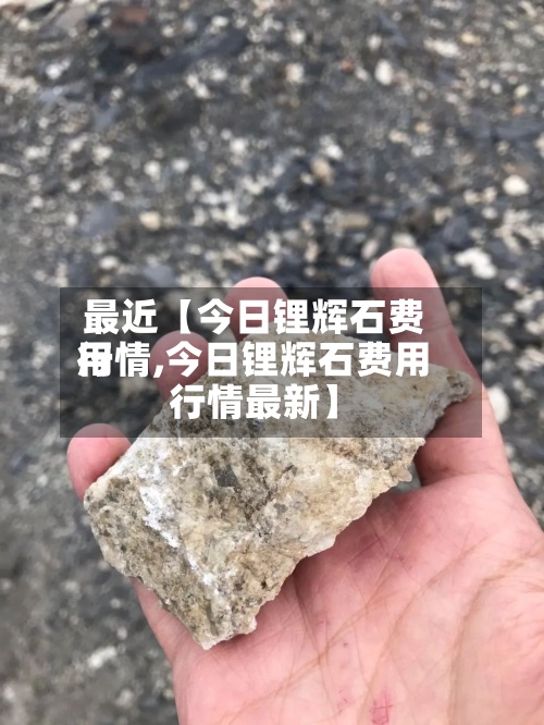 最近【今日锂辉石费用行情,今日锂辉石费用行情最新】