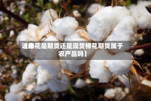 近来
【棉花是期货还是现货棉花期货属于农产品吗】