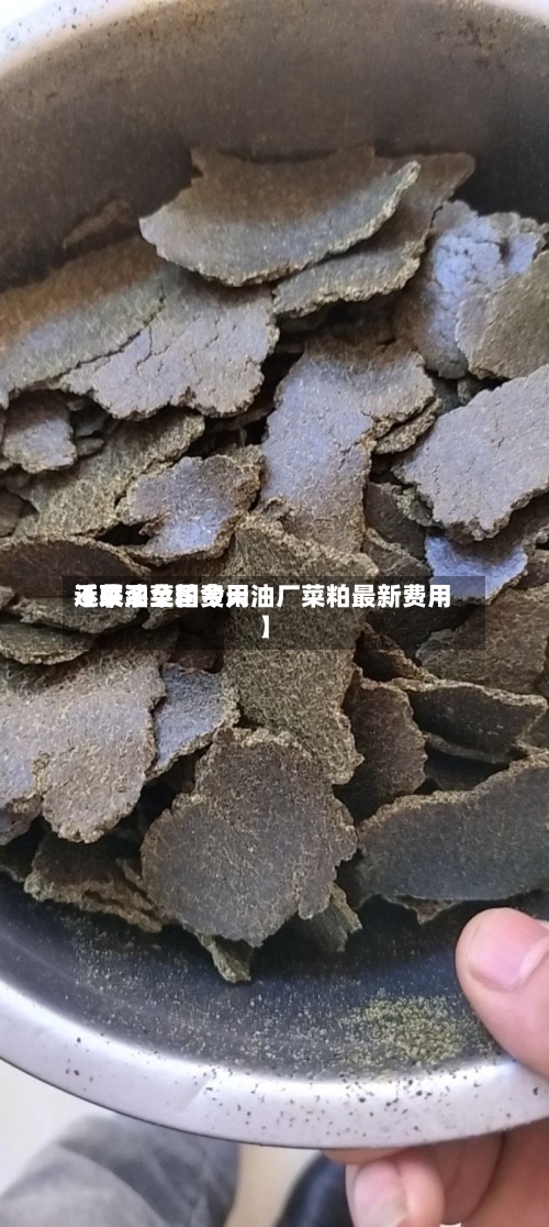 近来
【菜油菜粕费用
不联系全国今天油厂菜粕最新费用
】-第3张图片