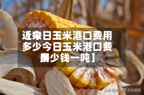 近来【今日玉米港口费用多少今日玉米港口费用多少钱一吨】