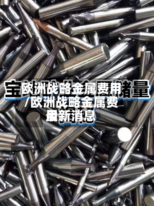 欧洲战略金属费用
/欧洲战略金属费用
最新消息