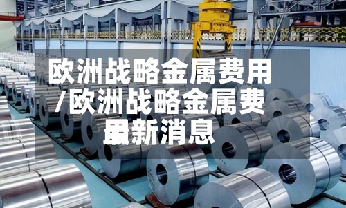 欧洲战略金属费用/欧洲战略金属费用最新消息-第3张图片