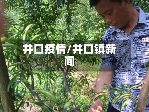 井口疫情/井口镇新闻