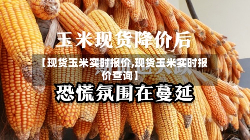 【现货玉米实时报价,现货玉米实时报价查询】