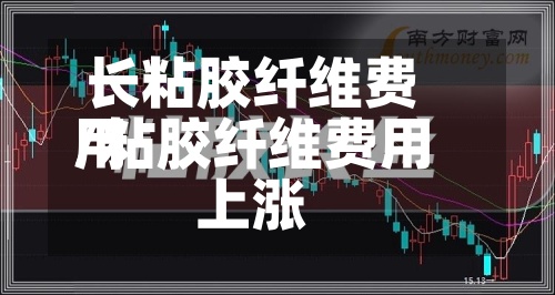 长粘胶纤维费用
/粘胶纤维费用
上涨-第2张图片