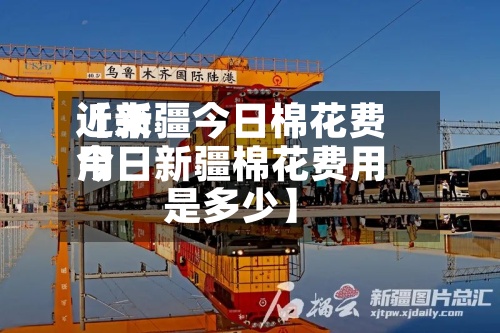 近来
【新疆今日棉花费用
今日新疆棉花费用
是多少】