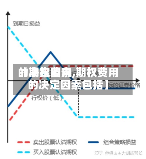 【期权费用
的决定因素,期权费用
的决定因素包括】