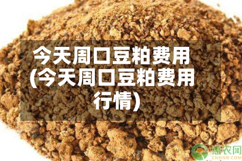 今天周口豆粕费用(今天周口豆粕费用行情)