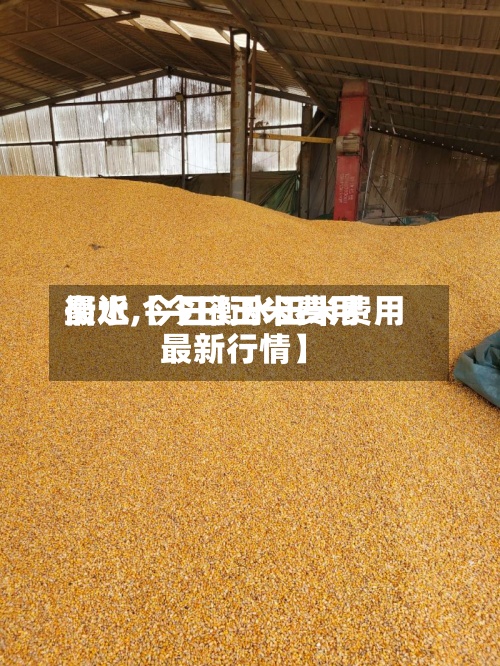 最近【今日玉米费用衡水,今日衡水玉米费用最新行情】-第2张图片