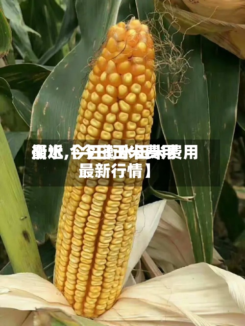 最近【今日玉米费用
衡水,今日衡水玉米费用
最新行情】