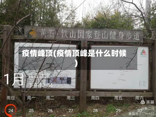 疫情峰顶(疫情顶峰是什么时候)-第2张图片